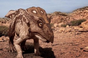 historia del protoceratops en su hábitat natural