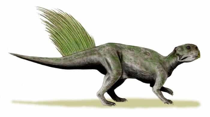 Dibujo de un Psittacosaurus