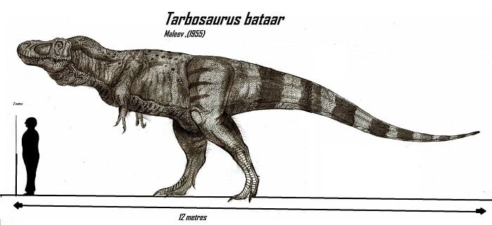 Descripción del Tarbosaurus