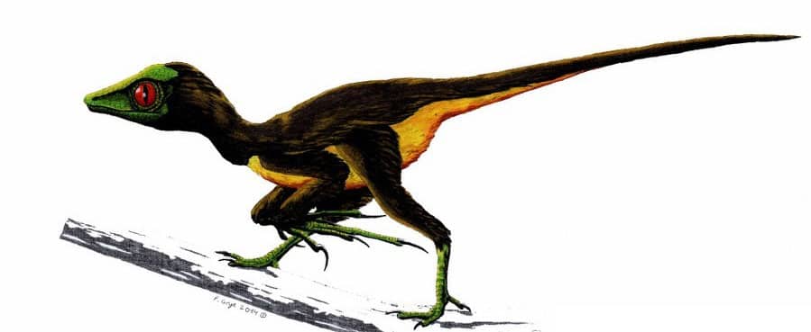 epidendrosaurus dinosaurio enano