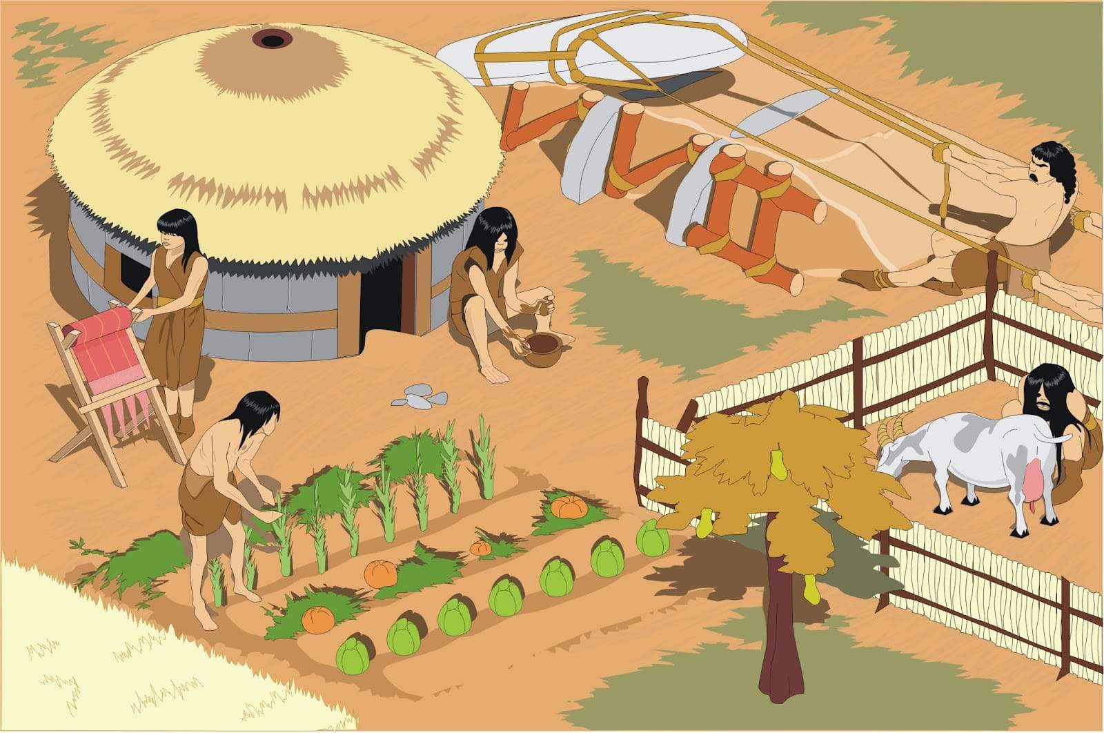 neolitico-agricultura