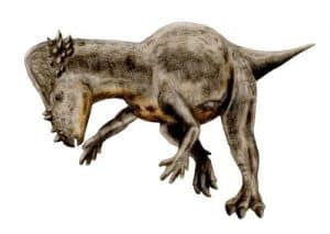 Lista de Dinosaurios con cuernos en la cabeza – Dinosaurios
