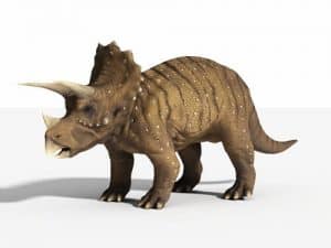 Triceratops el dinosaurio de tres cuernos más conocido