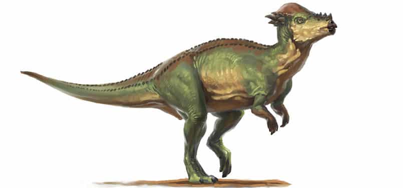wannanosaurus