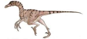 Dibujo de un Troodon