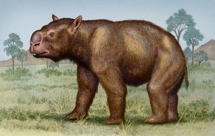 Extinción del Diprotodon