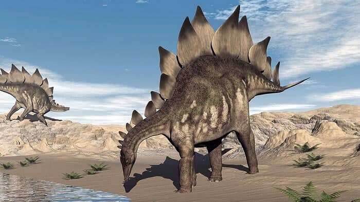 Hábitat natural del Stegosaurus
