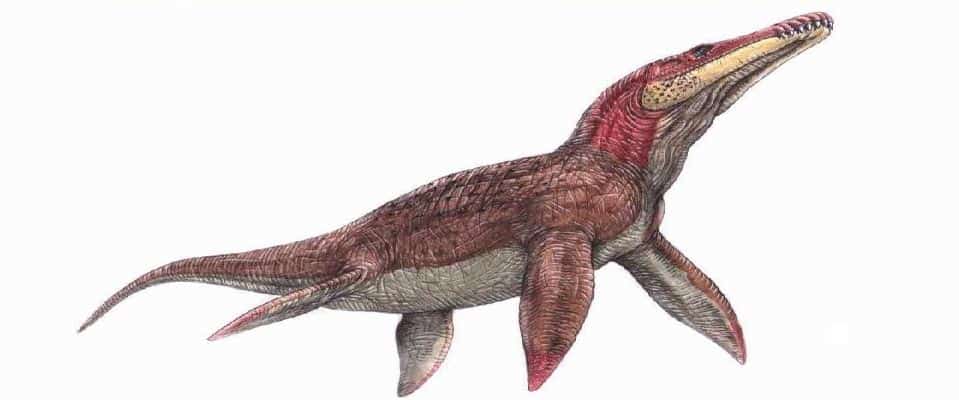 liopleurodon peligroso marino