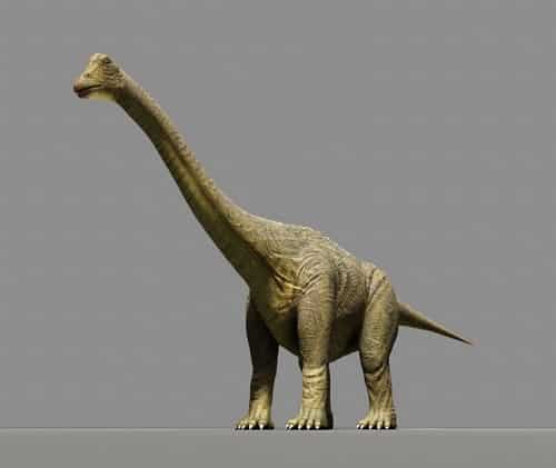 flaco farmacéutico Lavandería a monedas Brontosaurus: El lagarto del trueno – Dinosaurios