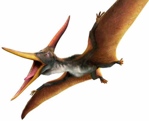 Pteranodon: el pescador de los cielos – Dinosaurios