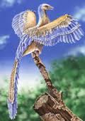 archaeopteryx en rama