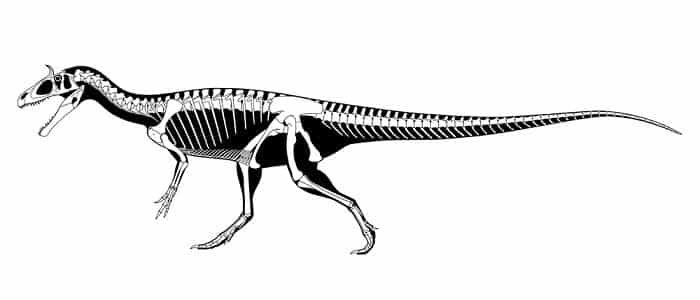 Descripción del Cryiolophosaurus