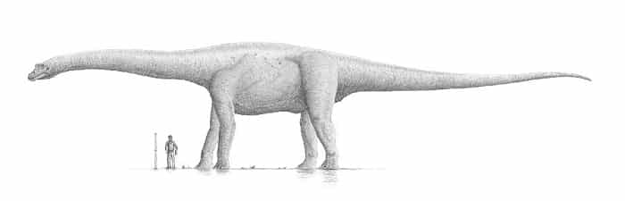 Características del Bruhathkayosaurus