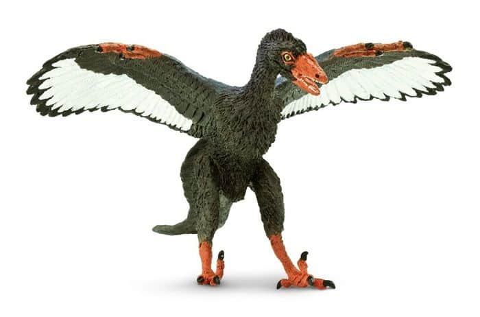 Descripción sobre el Archaeopteryx