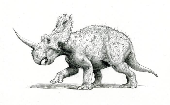 Descripción del Centrosaurus