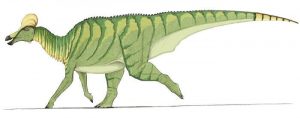 Descripción del Corythosaurus