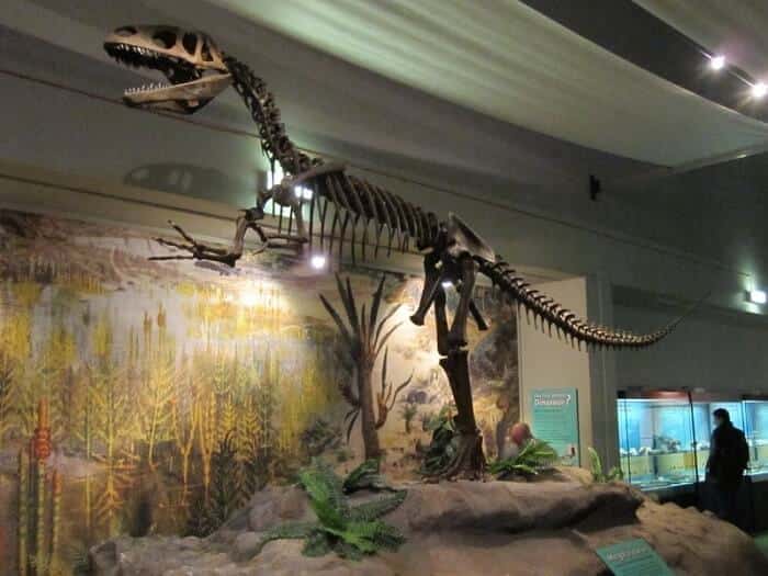 Descubrimiento del Megalosaurus