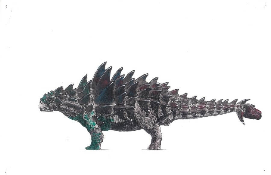 Dibujo de un Ankylosaurus