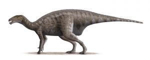 Información sobre el Iguanodon
