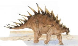 Dibujo de un Kentrosaurus
