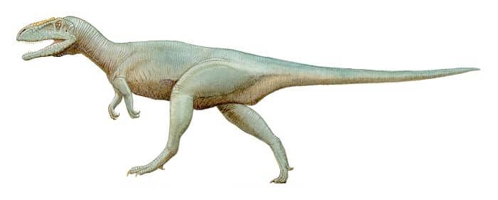 Dibujo de un Megalosaurus