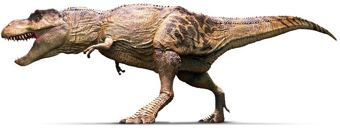 Dibujo de un Tyrannosaurus Rex