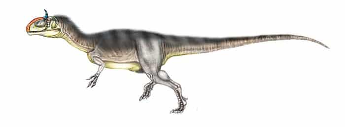 Dibujo del dinosaurio Cryiolophosaurus