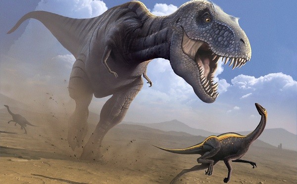 Todo sobre los dinosaurios carnívoros [vida al completo] – Dinosaurios
