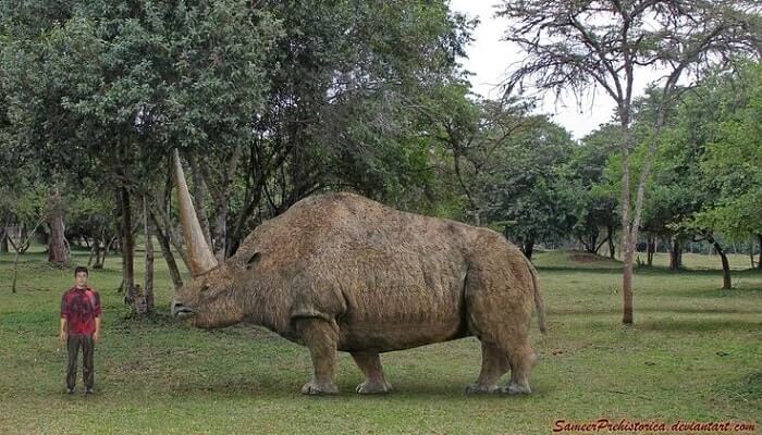 Hábitat del Elasmotherium
