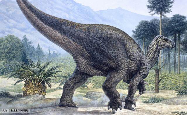 Hábitat natural del Iguanodon