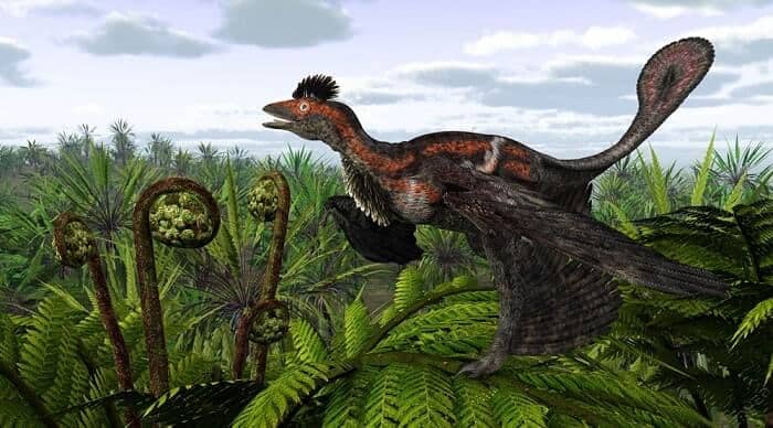 Hábitat natural del Microraptor