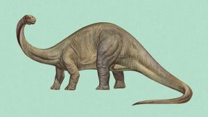 Historia Brontosaurus