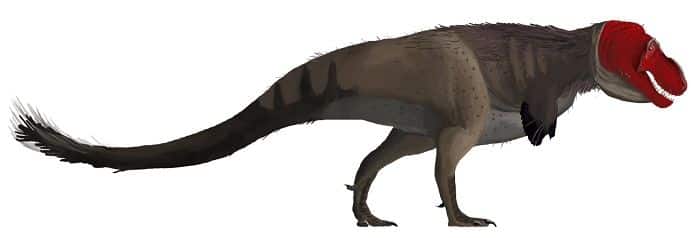 padre-del-tyrannosaurus-rex