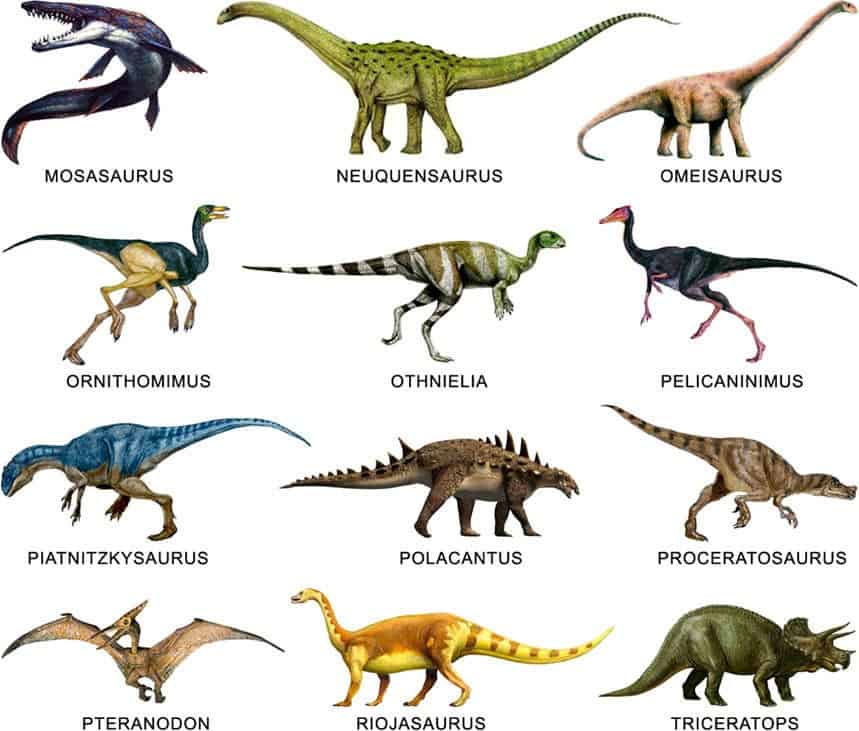 Dinosaurios – información de dinosaurios y animales prehistóricos