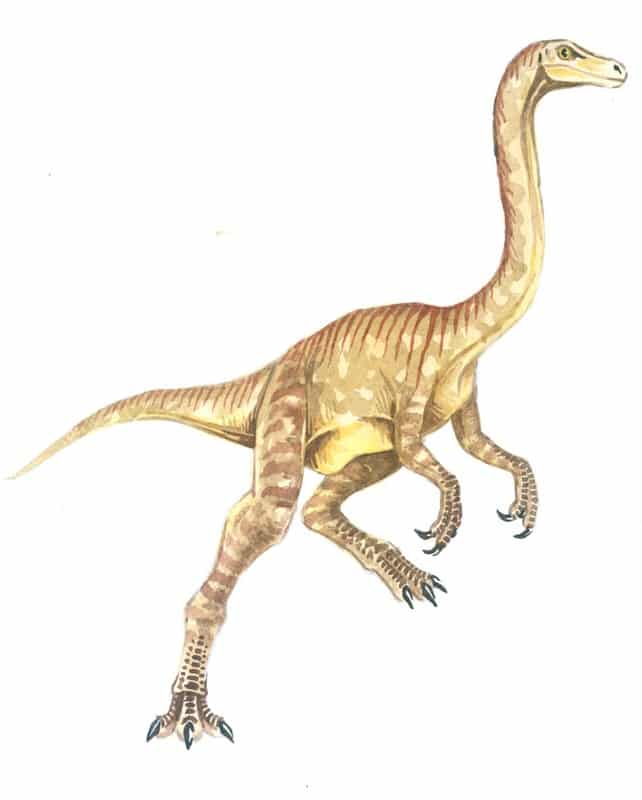 Dinosaurios omnívoros del Cretácico – Dinosaurios