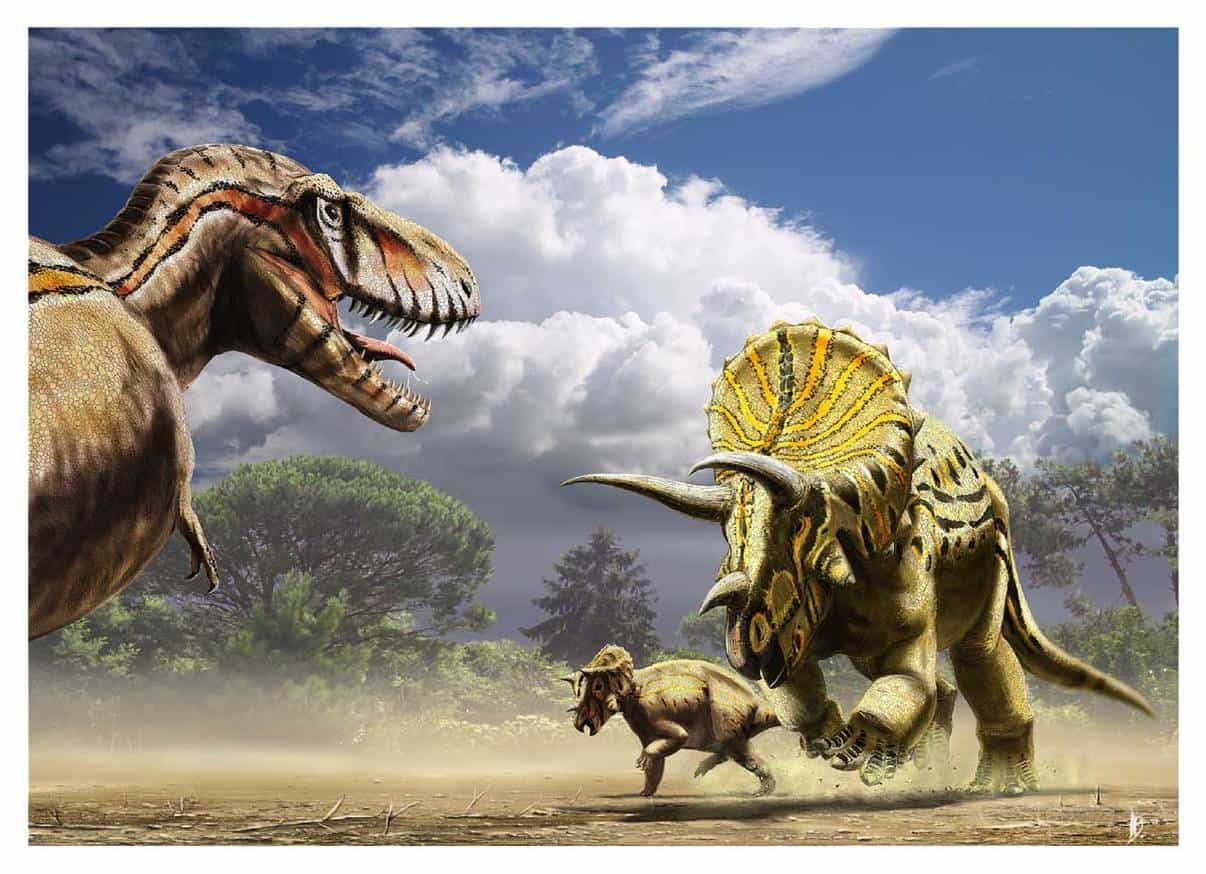 ¿Cómo se defiende el Triceratops?
