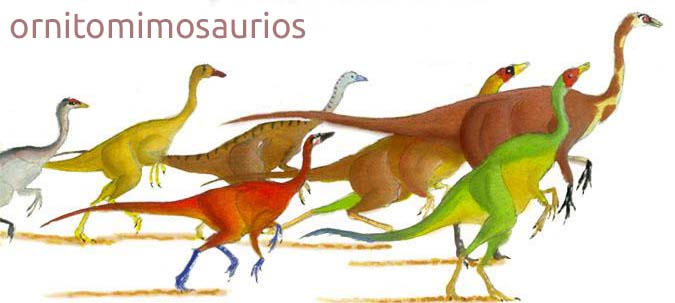 grupo ornitomimosaurios