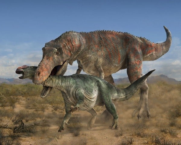 Qué comían los dinosaurios? – Dinosaurios