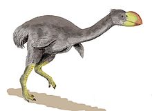 Dromornis 