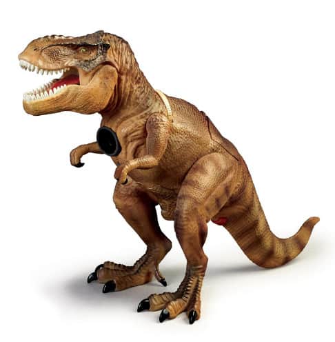 Partes del cuerpo de un dinosaurio – Dinosaurios