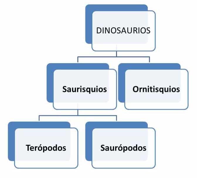 grafico tipos dinosaurios segun cadera