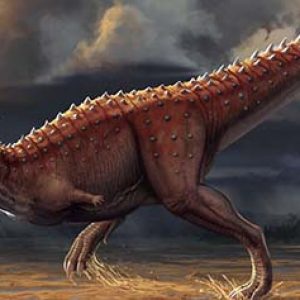 Carnotaurus – dinosaurio carnívoro