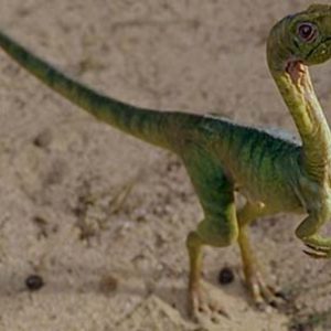 Compsognathus – dinosaurio carnívoro