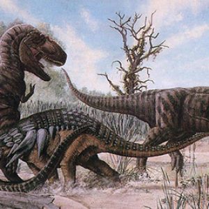 Daspletosaurus vs t-rex