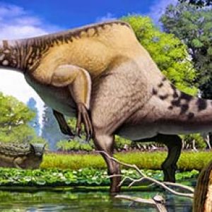 Deinocheirus – dinosaurio carnívoro