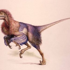 Deinonychus – dinosaurio carnívoro