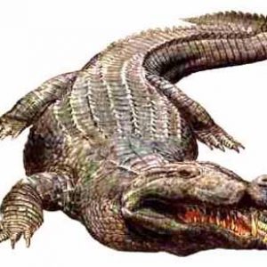 Deinosuchus – dinosaurio marino
