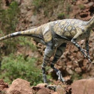 Eoraptor – dinosaurio carnívoro