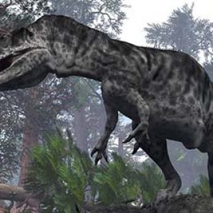 Giganotosaurus – dinosaurio gigante