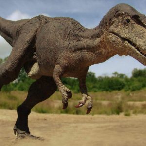 Gorgosaurus – dinosaurio carnívoro